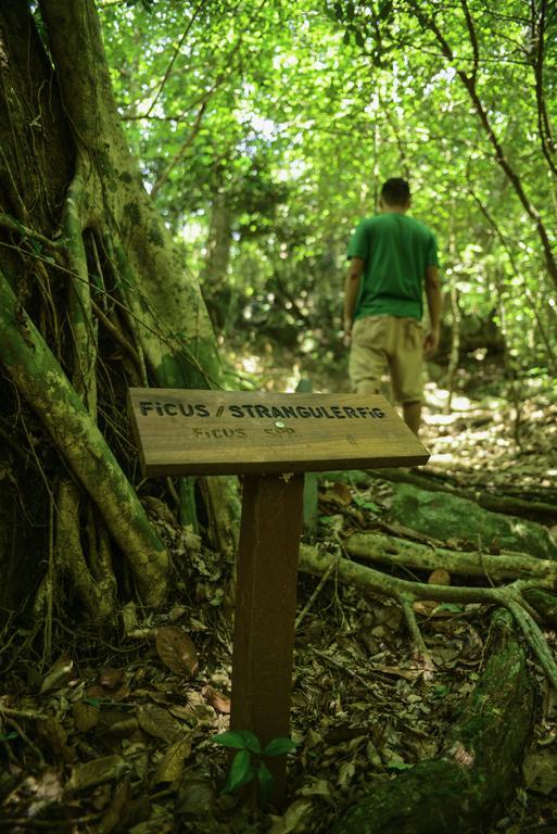 Rinconcito Lodge Hacienda Santa Maria Экстерьер фото