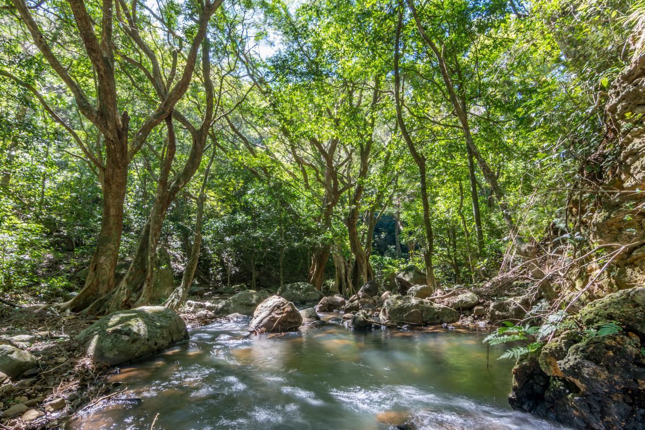 Rinconcito Lodge Hacienda Santa Maria Экстерьер фото